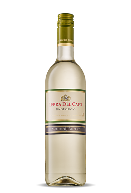 Terra Del Capo Pinot Grigio 2025 NV